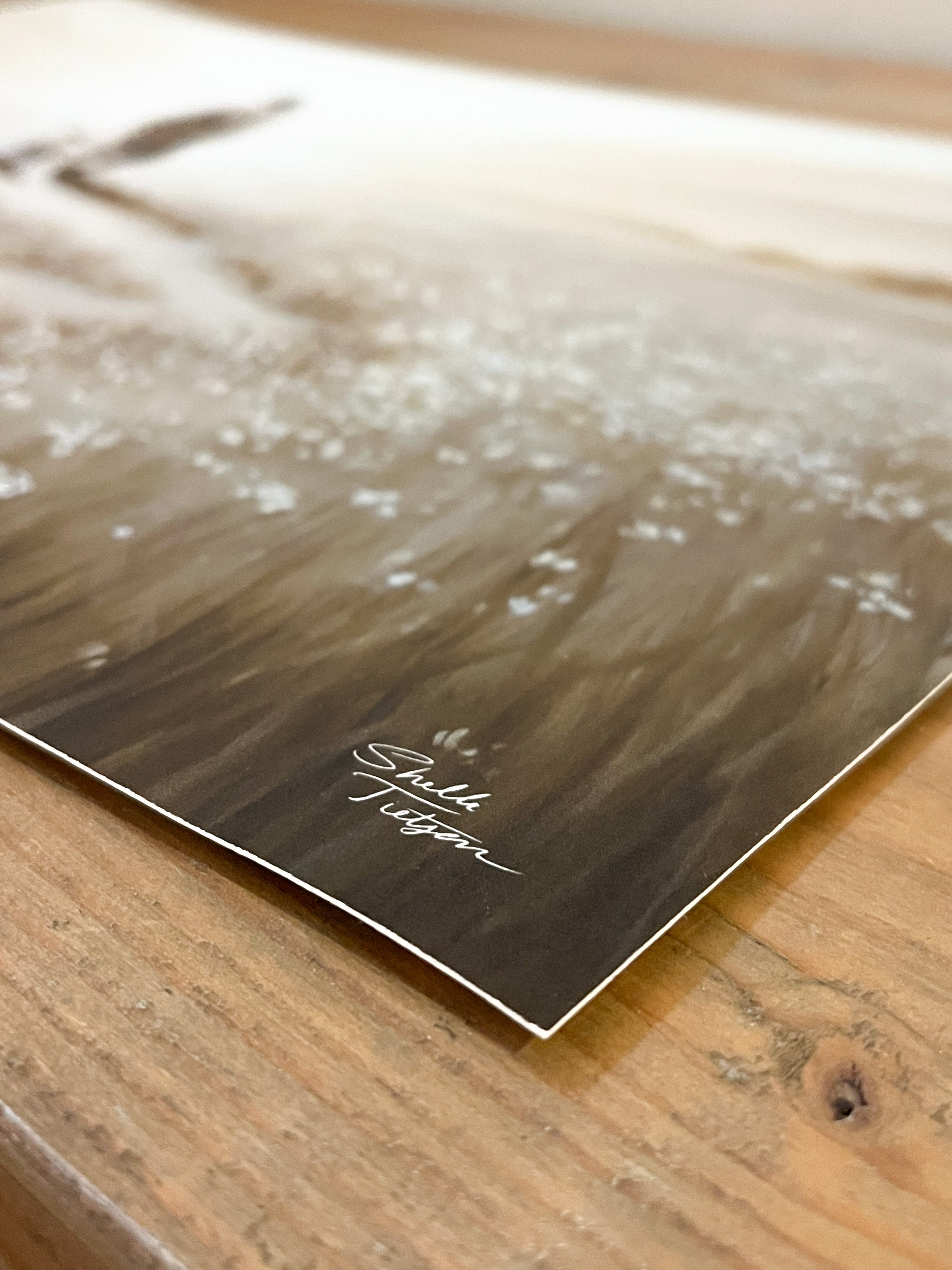 Close up to a print of the oil painting of Christ walking with a lamb on a winding path. Walking towards distant mountains. To the sides are a field of white flowers. Monochromatic colors browns and tans. 